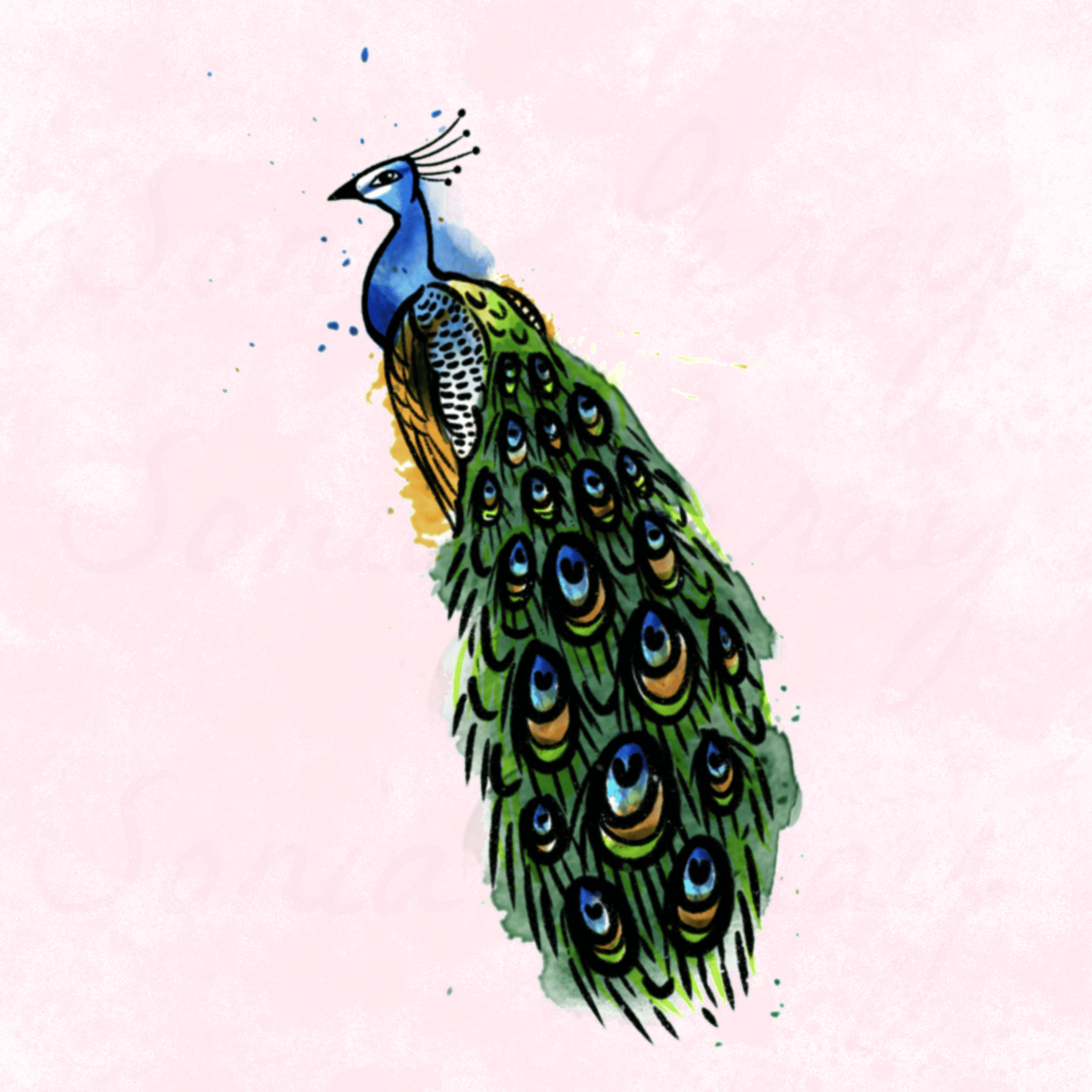 flash tattoo couleur paon avec aquarelle